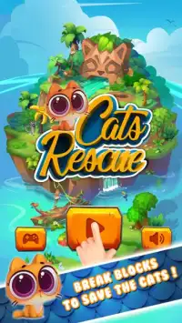 Cat Cartoon Rescue Game Screen Shot 0