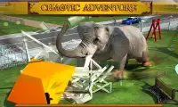 Angry Elephant Attack 3D Screen Shot 3