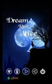드림 런 앨리스(Dream Run Alice) Screen Shot 9
