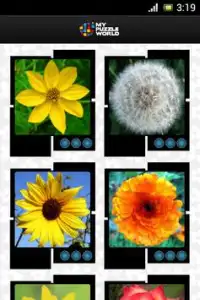Flowers Puzzle – MPW Screen Shot 5