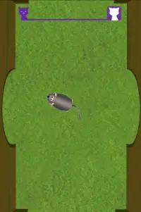 Lonely Cat Toy - For Cat Alone Screen Shot 4