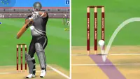Cricket World Domination Screen Shot 5