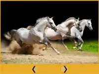 lovely horses for kids Screen Shot 1