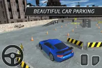 Car Parking Screen Shot 3