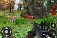 Wild Animals Jungle Hunting: FPS Shooting Game Screen Shot 8