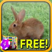 3D Jumble Bunny Slots - Free