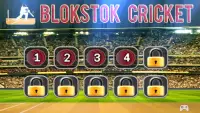 Blokstok Cricket Screen Shot 11