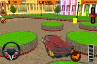 Nyata Dr. driver Parkir 3D Screen Shot 1