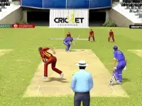 Cricket Top Games 2015 Screen Shot 1