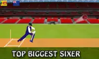 Cricket Game T20 2017 Free Screen Shot 2
