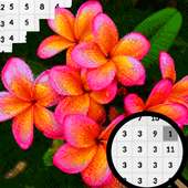 Frangipani Flowers Color By Number-Pixel Art