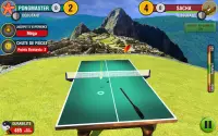World Table Tennis Champs Screen Shot 16