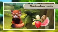 Panda vermelho - A simulação de animal mais fofa Screen Shot 2