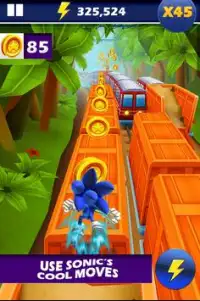Sonic Adventure Dash : Adventure Legends Rush 3D Screen Shot 1