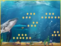 青いクジラのゲーム：怒っているサメから魚を救う Screen Shot 2