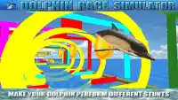 Dolphin Race Simulator Screen Shot 3