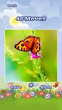 Butterfly Puzzles Screen Shot 13