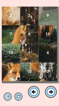 Photo Swap Puzzle Screen Shot 6