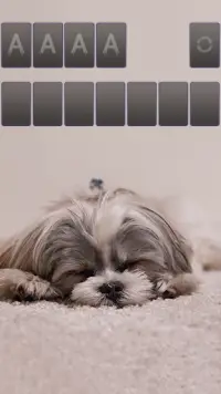 Solitaire Cute Puppies Theme Screen Shot 1