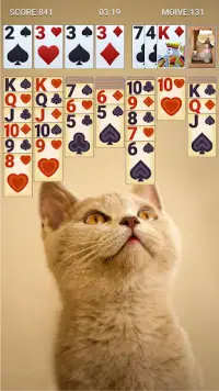 Solitaire Classic Screen Shot 5