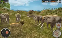 Aslan Simülatörü - Vahşi Hayvan Avı Oyunu Screen Shot 4