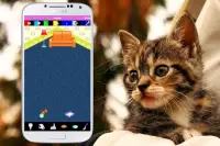 Уход за кошками - симулятор для котят милых детей Screen Shot 0