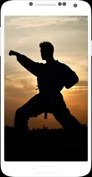 Karate Screen Shot 1