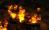 CS Camping Fire Screen Shot 2