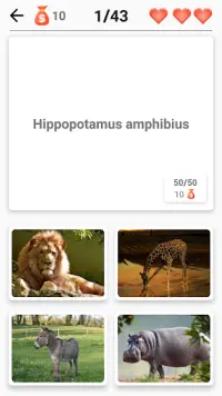 Mammifères - Apprenez tous les animaux dans Quiz! Screen Shot 4