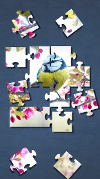Cute Bird Puzzle - Simple Jigsaw Puzzle Screen Shot 1