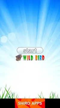 Jungle Bird Matching for Kids Screen Shot 6