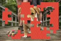 子犬のジグソーパズル無料 Screen Shot 14