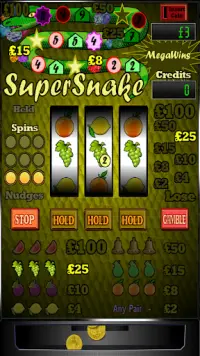 Slot Machine Super Snake Screen Shot 1