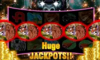 King Ape Slots Vegas Jackpot - Gorilla Rampage Screen Shot 2