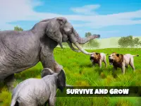 Super Elephant Simulator Games Screen Shot 13