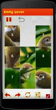 Birds Puzzle Screen Shot 3