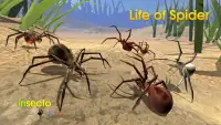 Life of Spider Screen Shot 1