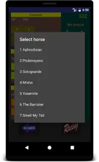 Horse Racing Tips and Simulation Screen Shot 3