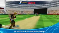 Cricket Multiplayer Screen Shot 0