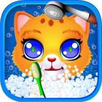 Cat Pet Wash