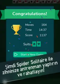 Spider Solitaire -  Solitaire Oyunları Screen Shot 7