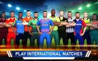 T20 Cricket Champions 3D Screen Shot 16