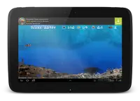 Wonder Fish Free Games HD Screen Shot 21