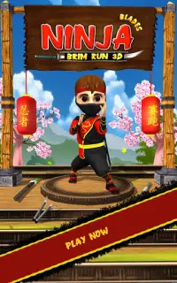Ninja Run 3D Screen Shot 0