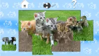 Koty puzzle dla dzieci Screen Shot 5