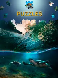 Jeux de puzzle de dauphin Screen Shot 1