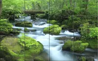 Rivers Puzzle Screen Shot 0