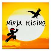 Ninja Rising