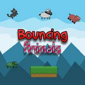 Bouncing Animals