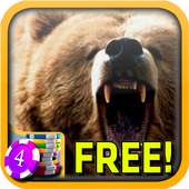 3D Grizzly Bear Slots - Free